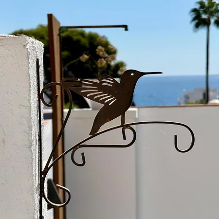 Casa Colibri Con Piscina Privada *